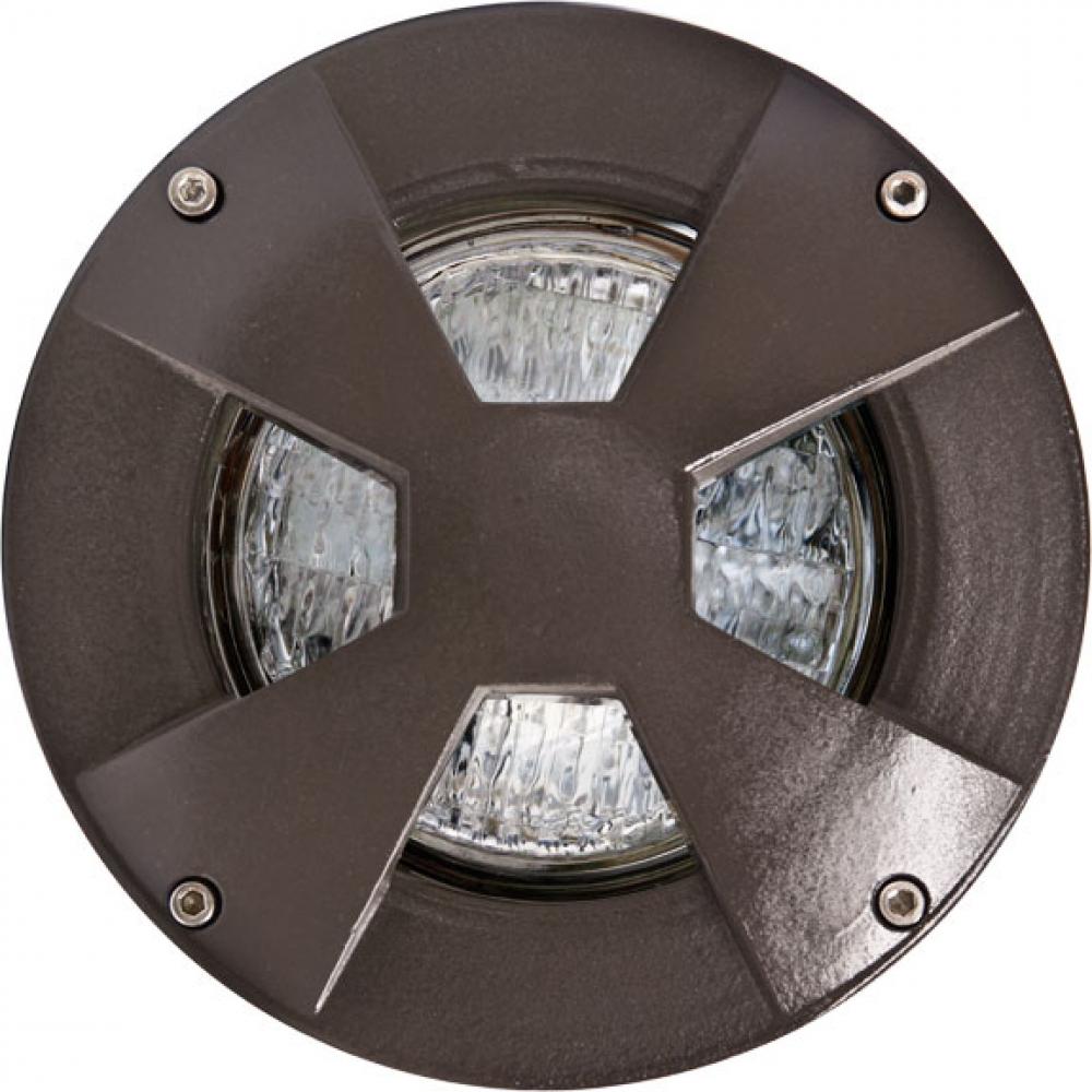 WELL LIGHT W/DRIVEOVER CVR W/ SLV 4W LED PAR36 12V
