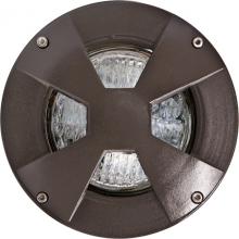 Dabmar LV307-LED4-BZ-SLV - WELL LIGHT W/DRIVEOVER CVR W/ SLV 4W LED PAR36 12V
